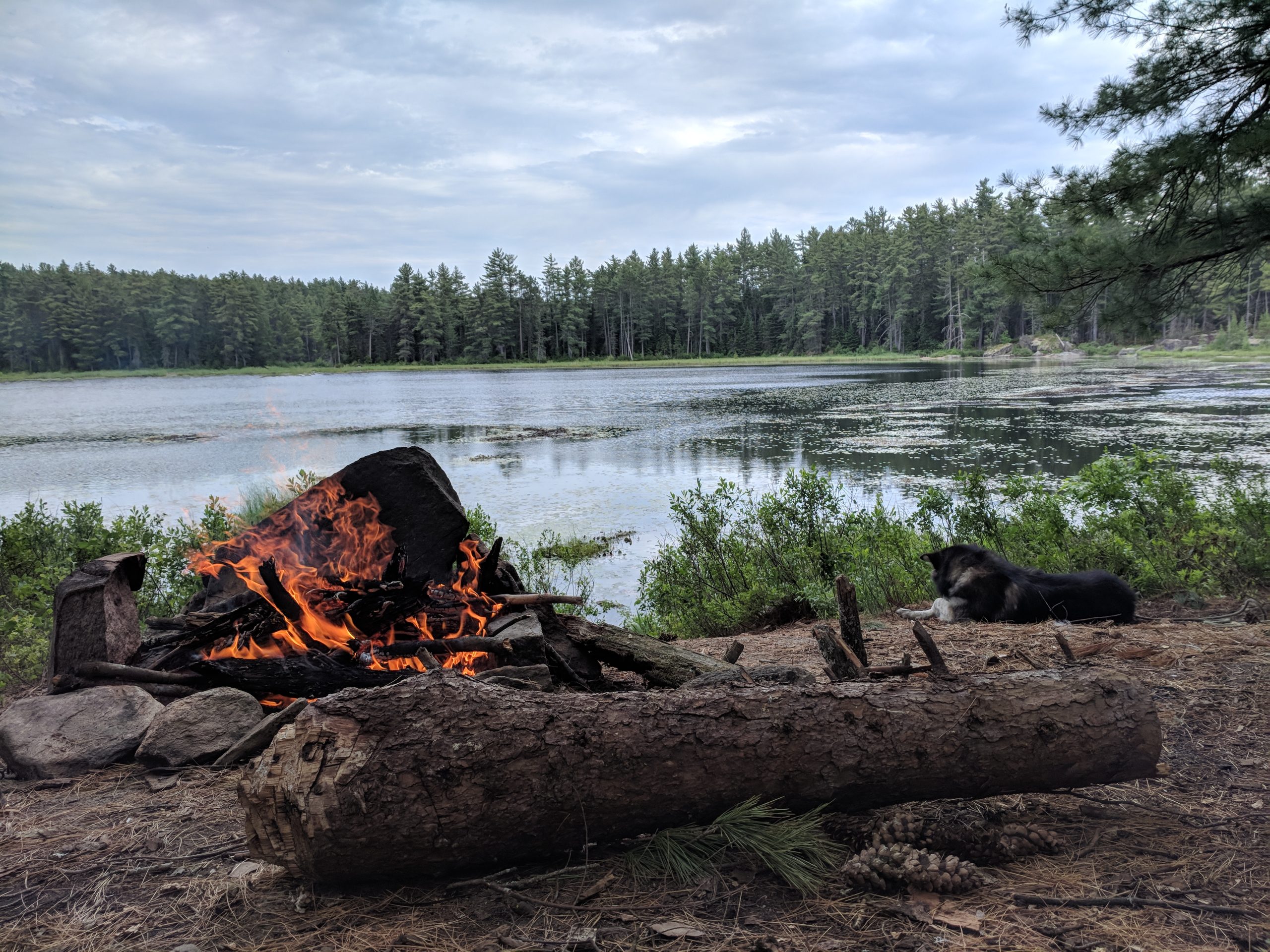 Algonquin Park – Eastern Pines Trail – June 15-17, 2018