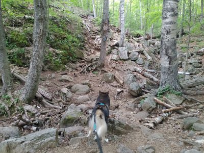 , FC : (c, 0.99, d, 0.00, Detect, 1, appIcon, 0, after, 0, chg, 1, out, 0, Freq, 120, raw, 0, WB, 93, Clear, 13, ori, 30, 4.38, 30, 4.38, chg, 60, 8.75, 60, 8.75,,0.50)