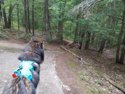 , FC : (c, 1.00, d, 0.00, Detect, 1, appIcon, 0, after, 0, chg, 1, out, 0, Freq, 120, raw, 0, WB, 102, Clear, 24, ori, 60, 3.43, 60, 3.43, chg, 120, 6.87, 120, 6.87,,0.50)