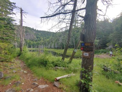 Solution Info HDR : EV(0,4,-6), FC : (0), FC : (c, 0.67, d, 0.00, Detect, 1, appIcon, 0, after, 0, chg, 0, out, 1, Freq, 120, raw, 0, WB, 1373, Clear, 922, ori, 1493, 1.01, 1175, 1.00, chg, 2985, 2.02, 2353, 2.00,,0.50)