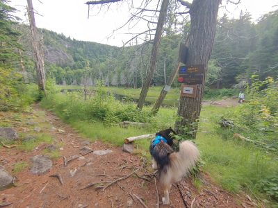 Solution Info HDR : EV(0,4,-6), FC : (0), FC : (c, 0.67, d, 0.00, Detect, 1, appIcon, 0, after, 0, chg, 0, out, 1, Freq, 120, raw, 0, WB, 1373, Clear, 922, ori, 1493, 1.01, 1175, 1.00, chg, 2985, 2.02, 2353, 2.00,,0.50)