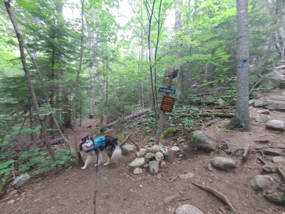 , FC : (c, 0.67, d, 0.00, Detect, 1, appIcon, 0, after, 0, chg, 0, out, 1, Freq, 120, raw, 0, WB, 1373, Clear, 922, ori, 1493, 1.01, 1175, 1.00, chg, 2985, 2.02, 2353, 2.00,,0.50)