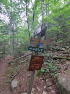 Solution Info HDR : EV(0,-12,0,0,0,0,0,0,0,0), FC : (0), FC : (c, 0.67, d, 0.00, Detect, 1, appIcon, 0, after, 0, chg, 0, out, 1, Freq, 120, raw, 0, WB, 1373, Clear, 922, ori, 1493, 1.01, 1175, 1.00, chg, 2985, 2.02, 2353, 2.00,,0.50)