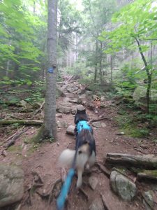 Solution Info HDR : EV(0,-12,0,0,0,0,0,0,0,0), FC : (0), FC : (c, 0.67, d, 0.00, Detect, 1, appIcon, 0, after, 0, chg, 0, out, 1, Freq, 120, raw, 0, WB, 1373, Clear, 922, ori, 1493, 1.01, 1175, 1.00, chg, 2985, 2.02, 2353, 2.00,,0.50)