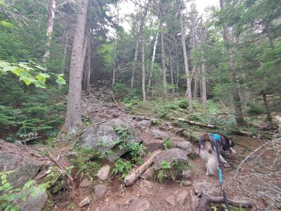 Solution Info HDR : EV(0,3,-7), FC : (0), FC : (c, 0.67, d, 0.00, Detect, 1, appIcon, 0, after, 0, chg, 0, out, 1, Freq, 120, raw, 0, WB, 1373, Clear, 922, ori, 1493, 1.01, 1175, 1.00, chg, 2985, 2.02, 2353, 2.00,,0.50)