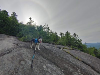 Solution Info HDR : EV(0,8,-4), FC : (0), FC : (c, 0.67, d, 0.00, Detect, 1, appIcon, 0, after, 0, chg, 0, out, 1, Freq, 120, raw, 0, WB, 1373, Clear, 922, ori, 1493, 1.01, 1175, 1.00, chg, 2985, 2.02, 2353, 2.00,,0.50)