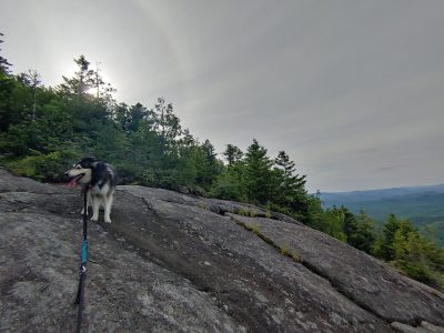 Solution Info HDR : EV(0,7,-5), FC : (0), FC : (c, 0.67, d, 0.00, Detect, 1, appIcon, 0, after, 0, chg, 0, out, 1, Freq, 120, raw, 0, WB, 1373, Clear, 922, ori, 1493, 1.01, 1175, 1.00, chg, 2985, 2.02, 2353, 2.00,,0.50)