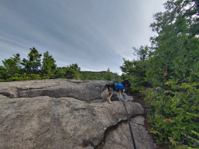 Solution Info HDR : EV(0,6,-5), FC : (0), FC : (c, 0.67, d, 0.00, Detect, 1, appIcon, 0, after, 0, chg, 0, out, 1, Freq, 120, raw, 0, WB, 1373, Clear, 922, ori, 1493, 1.01, 1175, 1.00, chg, 2985, 2.02, 2353, 2.00,,0.50)