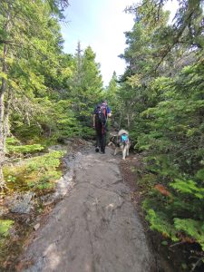 Solution Info HDR : EV(0,4,-6), FC : (0), FC : (c, 0.67, d, 0.00, Detect, 1, appIcon, 0, after, 0, chg, 0, out, 1, Freq, 120, raw, 0, WB, 1373, Clear, 922, ori, 1493, 1.01, 1175, 1.00, chg, 2985, 2.02, 2353, 2.00,,0.50)