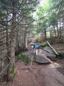 , FC : (c, 0.67, d, 0.00, Detect, 1, appIcon, 0, after, 0, chg, 0, out, 1, Freq, 120, raw, 0, WB, 1373, Clear, 922, ori, 1493, 1.01, 1175, 1.00, chg, 2985, 2.02, 2353, 2.00,,0.50)