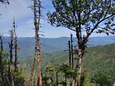 Solution Info HDR : EV(0,5,-3), FC : (0), FC : (c, 0.99, d, 0.00, Detect, 1, appIcon, 0, after, 0, chg, 0, out, 1, Freq, 120, raw, 0, WB, 1820, Clear, 951, ori, 2273, 1.00, 2041, 1.01, chg, 4544, 2.01, 4082, 2.02,,0.50)