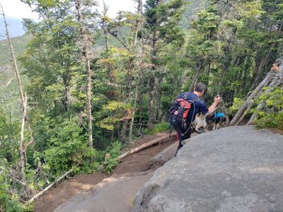 Solution Info HDR : EV(0,5,-6), FC : (0), FC : (c, 0.99, d, 0.00, Detect, 1, appIcon, 0, after, 0, chg, 0, out, 1, Freq, 120, raw, 0, WB, 1022, Clear, 570, ori, 324, 1.00, 169, 1.00, chg, 646, 2.00, 336, 2.00,,0.50)