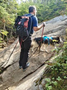 Solution Info HDR : EV(0,2,-3), FC : (0), FC : (c, 0.89, d, 0.00, Detect, 1, appIcon, 0, after, 0, chg, 0, out, 1, Freq, 120, raw, 0, WB, 963, Clear, 543, ori, 149, 1.00, 142, 1.00, chg, 296, 2.00, 287, 2.00,,0.50)