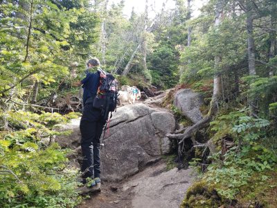 Solution Info HDR : EV(0,6), FC : (0), FC : (c, 0.98, d, 0.00, Detect, 0, appIcon, 0, after, 0, chg, 0, out, 1, Freq, 120, raw, 0, WB, 804, Clear, 457, ori, 125, 1.00, 120, 1.02, chg, 125, 1.00, 120, 1.02,,1.00)