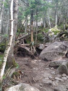 , FC : (c, 1.00, d, 0.00, Detect, 0, appIcon, 0, after, 0, chg, 0, out, 0, Freq, 120, raw, 0, WB, 164, Clear, 57, ori, 60, 2.40, 60, 2.40, chg, 60, 2.40, 60, 2.40,,1.00)