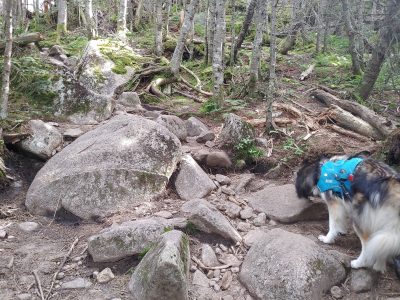 , FC : (c, 0.92, d, 0.00, Detect, 1, appIcon, 0, after, 0, chg, 1, out, 0, Freq, 120, raw, 0, WB, 95, Clear, 26, ori, 60, 3.63, 60, 3.63, chg, 120, 7.25, 120, 7.25,,0.50)