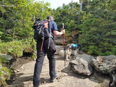 Solution Info HDR : EV(0,8,-3), FC : (0), FC : (c, 0.94, d, 0.00, Detect, 1, appIcon, 0, after, 0, chg, 0, out, 1, Freq, 120, raw, 0, WB, 1825, Clear, 656, ori, 703, 1.00, 455, 1.00, chg, 1407, 2.01, 909, 2.00,,0.50)