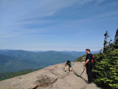 , FC : (c, 0.99, d, 0.00, Detect, 1, appIcon, 0, after, 0, chg, 1, out, 1, Freq, 120, raw, 0, WB, 2818, Clear, 1924, ori, 3332, 1.02, 3332, 1.02, chg, 6667, 2.03, 6667, 2.03,,0.50)