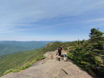 , FC : (c, 0.97, d, 0.00, Detect, 1, appIcon, 0, after, 0, chg, 1, out, 1, Freq, 120, raw, 0, WB, 2989, Clear, 1625, ori, 1923, 1.00, 1923, 1.00, chg, 3845, 2.00, 3845, 2.00,,0.50)