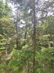 Solution Info HDR : EV(0,5,-7), FC : (0), FC : (c, 0.00, d, 0.00, Detect, 0, appIcon, 0, after, 0, chg, 0, out, 0, Freq, -1, raw, -1, WB, 0, Clear, 0, ori, 1350, 1.00, 1350, 1.00, chg, 1350, 1.00, 1350, 1.00,,1.00)