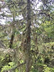 Solution Info HDR : EV(0,5,-7), FC : (0), FC : (c, 0.00, d, 0.00, Detect, 0, appIcon, 0, after, 0, chg, 0, out, 1, Freq, 120, raw, 0, WB, 3837, Clear, 1019, ori, 286, 1.00, 146, 1.00, chg, 286, 1.00, 146, 1.00,,1.00)