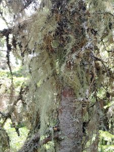 Solution Info HDR : EV(0,5,-7), FC : (0), FC : (c, 0.00, d, 0.00, Detect, 0, appIcon, 0, after, 0, chg, 0, out, 0, Freq, 120, raw, 0, WB, 913, Clear, 276, ori, 120, 1.03, 120, 1.36, chg, 120, 1.03, 120, 1.36,,1.00)