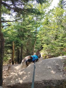 Solution Info HDR : EV(0,5,-5), FC : (0), FC : (c, 1.00, d, 0.00, Detect, 0, appIcon, 0, after, 0, chg, 0, out, 1, Freq, 120, raw, 0, WB, 1030, Clear, 321, ori, 391, 1.00, 197, 1.00, chg, 391, 1.00, 197, 1.00,,1.00)