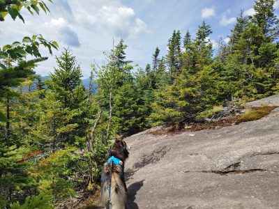 Solution Info HDR : EV(0,3,-1), FC : (0), FC : (c, 1.00, d, 0.00, Detect, 0, appIcon, 0, after, 0, chg, 0, out, 1, Freq, 120, raw, 0, WB, 3241, Clear, 1599, ori, 2439, 1.01, 2439, 1.01, chg, 2439, 1.01, 2439, 1.01,,1.00)