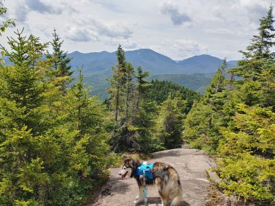 Solution Info HDR : EV(0,4,-3), FC : (0), FC : (c, 1.00, d, 0.00, Detect, 0, appIcon, 0, after, 0, chg, 0, out, 1, Freq, 120, raw, 0, WB, 4054, Clear, 2098, ori, 2381, 1.01, 1961, 1.00, chg, 2381, 1.01, 1961, 1.00,,1.00)