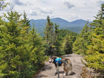 Solution Info HDR : EV(0,4,-2), FC : (0), FC : (c, 0.99, d, 0.00, Detect, 1, appIcon, 0, after, 0, chg, 0, out, 1, Freq, 120, raw, 0, WB, 4230, Clear, 2258, ori, 2500, 1.01, 1887, 1.00, chg, 5000, 2.02, 3774, 2.00,,0.50)