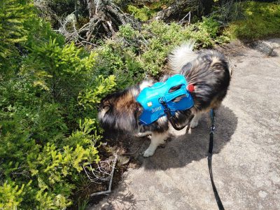 Solution Info HDR : EV(0,4,-2), FC : (0), FC : (c, 0.92, d, 0.00, Detect, 1, appIcon, 0, after, 0, chg, 0, out, 1, Freq, 120, raw, 0, WB, 2626, Clear, 801, ori, 1019, 1.00, 916, 1.00, chg, 2041, 2.00, 1835, 2.00,,0.50)