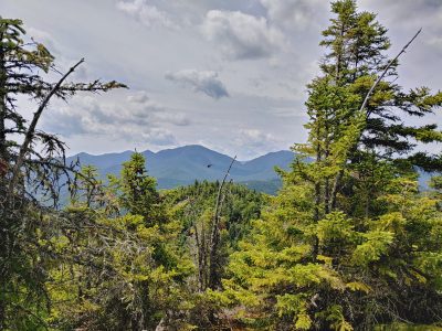 Solution Info HDR : EV(0,8,-4), FC : (0), FC : (c, 0.99, d, 0.00, Detect, 1, appIcon, 0, after, 0, chg, 0, out, 1, Freq, 120, raw, 0, WB, 5334, Clear, 3381, ori, 5262, 1.02, 4167, 1.01, chg, 10525, 2.05, 8332, 2.01,,0.50)