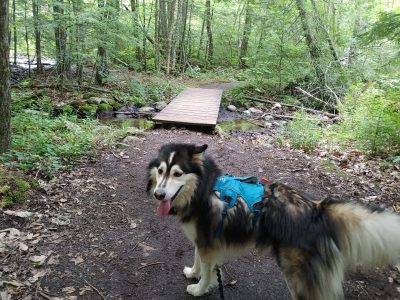 , FC : (c, 1.00, d, 0.00, Detect, 0, appIcon, 0, after, 0, chg, 0, out, 0, Freq, 120, raw, 0, WB, 217, Clear, 25, ori, 60, 3.50, 60, 3.50, chg, 60, 3.50, 60, 3.50,,1.00)